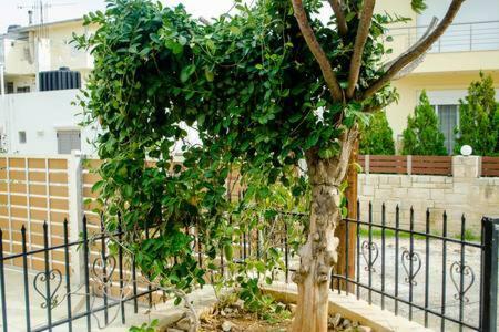 Sun By The Sea 2 Agia Pelagia Exterior foto